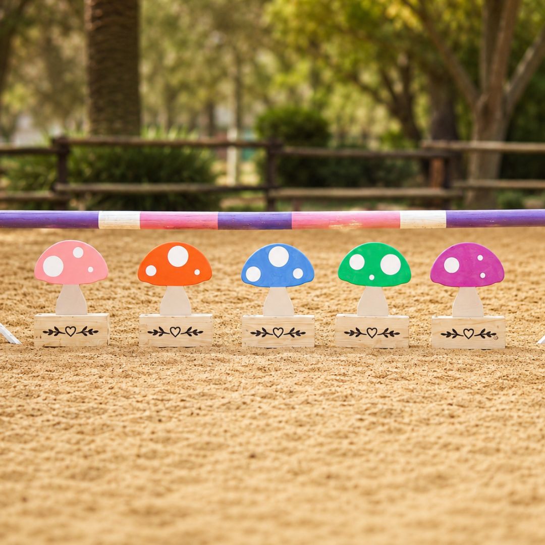 Five colourful mushroom wooden jump fillers arranged beneath a show jumping pole in a sand arena
