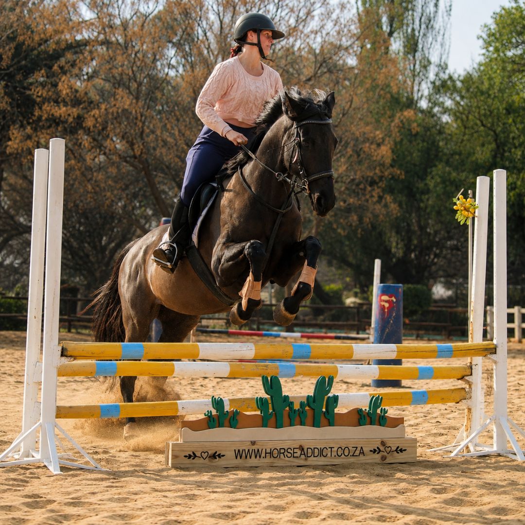 Horse and rider jumping over a layered cactus wooden show jump filler in a sand arena