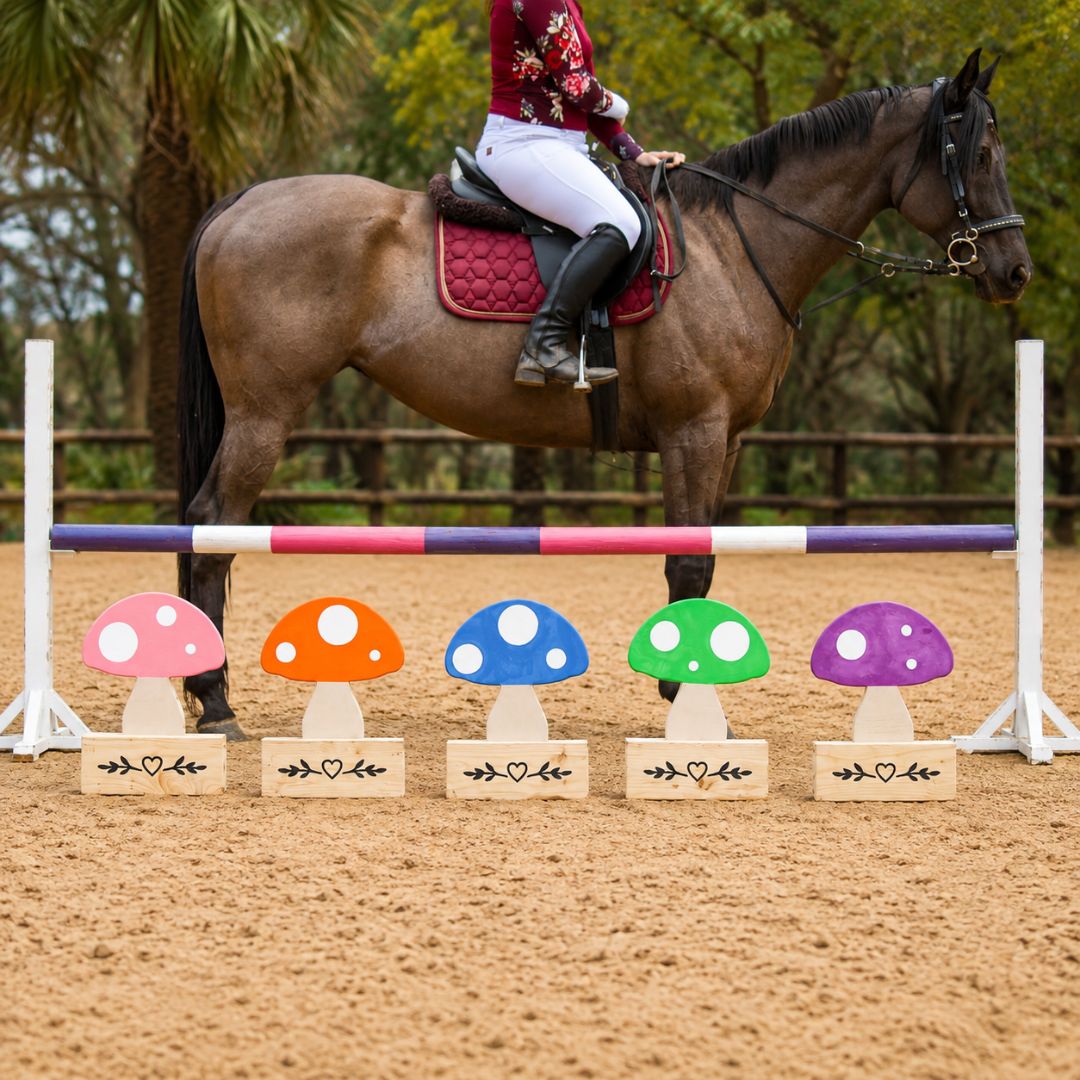 Horse and rider standing behind five colourful wooden mushroom jump fillers in an equestrian arena