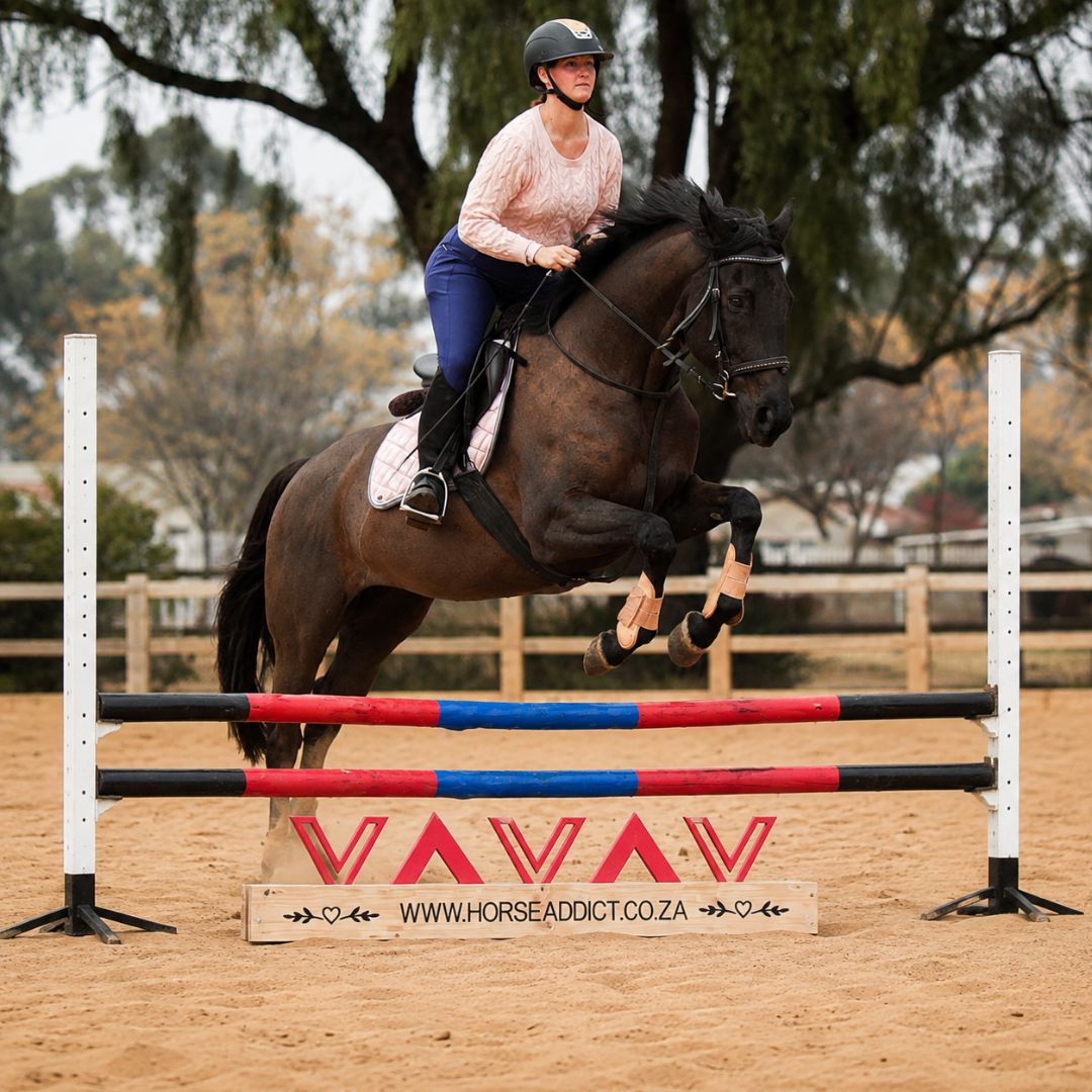 Horse and rider jumping over a blush chevron wooden show jump filler in an equestrian arena