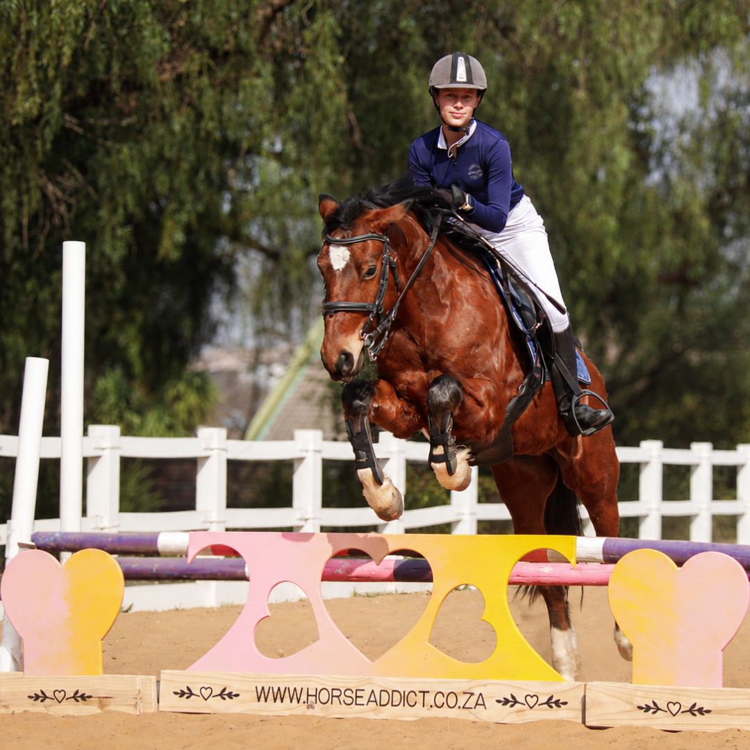 Horse and rider jumping over colourful pink orange and yellow heart wooden show jump fillers