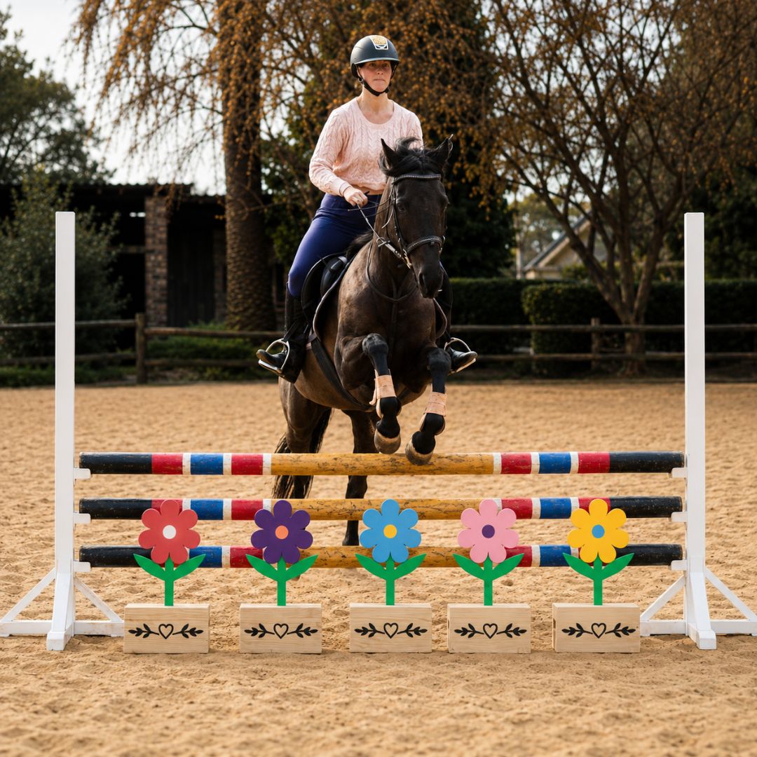 Horse and rider behind five colourful wooden flower show jump fillers in an equestrian arena