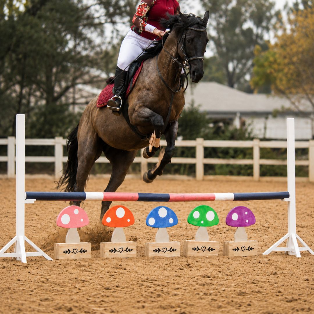Horse and rider jumping over five colourful wooden mushroom show jump fillers in a sand arena