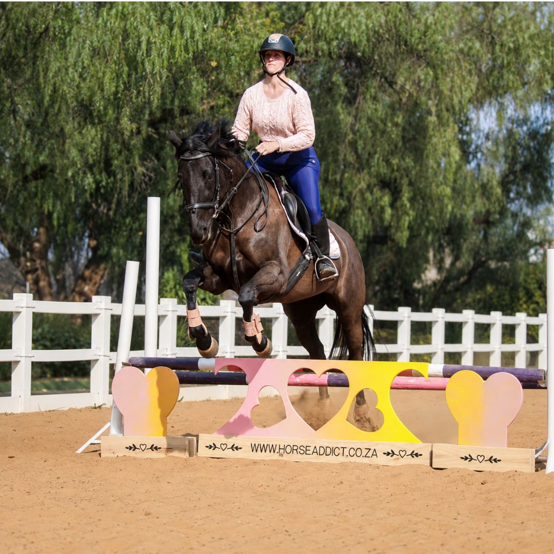 Horse and rider clearing a show jump with colourful wooden heart fillers and pine bases beneath the poles