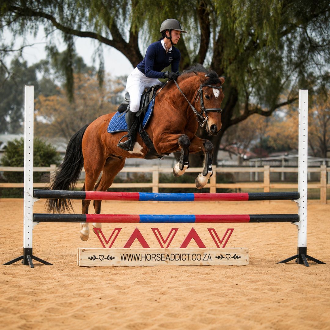 Horse and rider clearing a jump with blush pink chevron wooden filler and custom pine base below