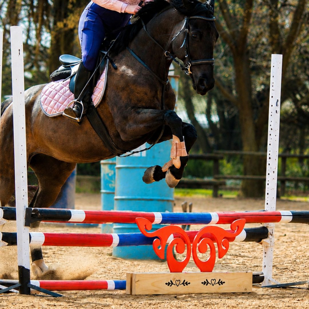 Horse and rider clearing a jump with bright orange scroll wooden filler and custom pine base below