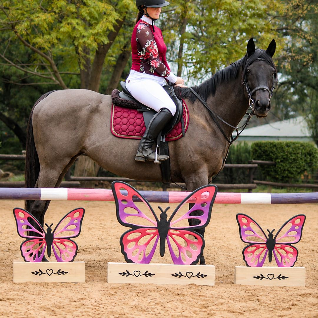 Anna and Rosie from Horse Addict